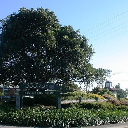 Cooroy Luxury Motel Apartments Ngoại thất bức ảnh